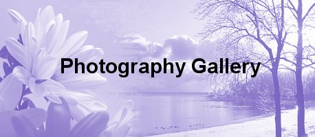 the photography gallery