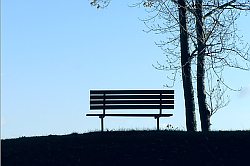 Solitude: a park bench